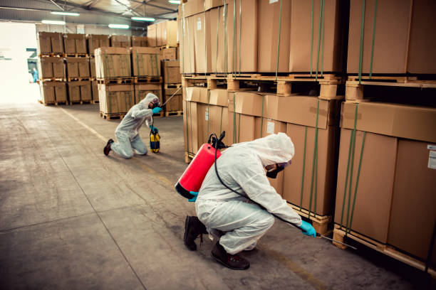 Best Termite Control Services  in Cascade Valley, WA