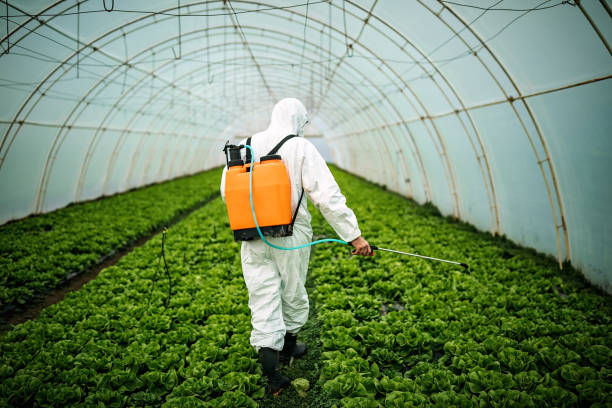 Best Insect Control  in Cascade Valley, WA