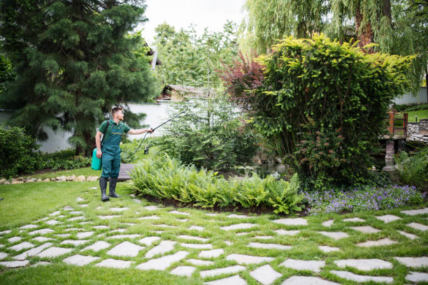 Best Bed Bug Extermination  in Cascade Valley, WA