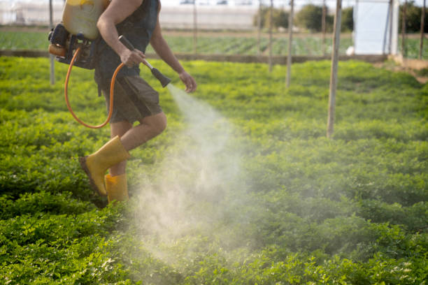 Best Emergency Pest Control  in Cascade Valley, WA