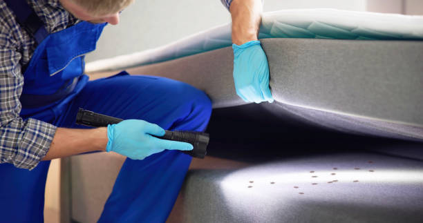 Professional Pest Control in Cascade Valley, WA
