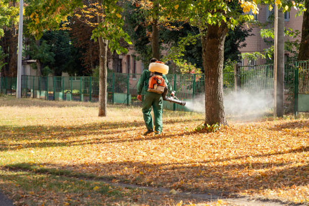Best Residential Pest Control  in Cascade Valley, WA