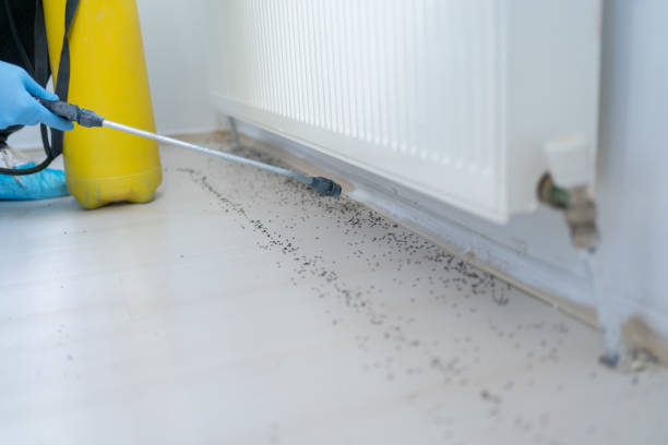 Best Mosquito Control Services  in Cascade Valley, WA