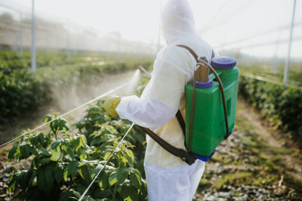Best Commercial Pest Control Services  in Cascade Valley, WA